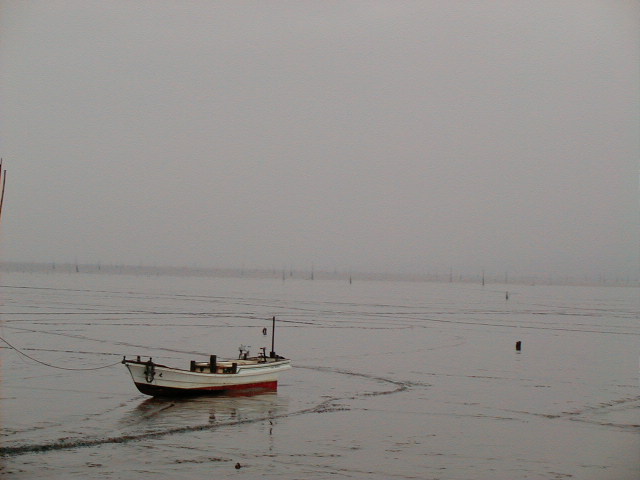 stranded boat on the ariake.JPG, 1/3/2005, 50 kB